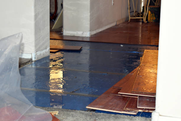 Professional Sewage Cleanup technician working in Scottville, MI